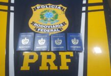 PRF frustra, mais uma vez, entrada clandestina de estrangeiros e apreende armas de fogo e munições durante ocorrência na BR 156, em Oiapoque WhatsApp Image 2024-02-28 at 08.08.07(1).jpeg
