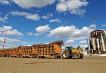 Agronegócio cresce 4,2% e fecha 2023 com participação de 21,1% na economia baiana Logo