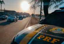 Atropelamento é a principal causa de óbitos nas rodovias federais do Ceará — Polícia Rodoviária Federal br.jpg