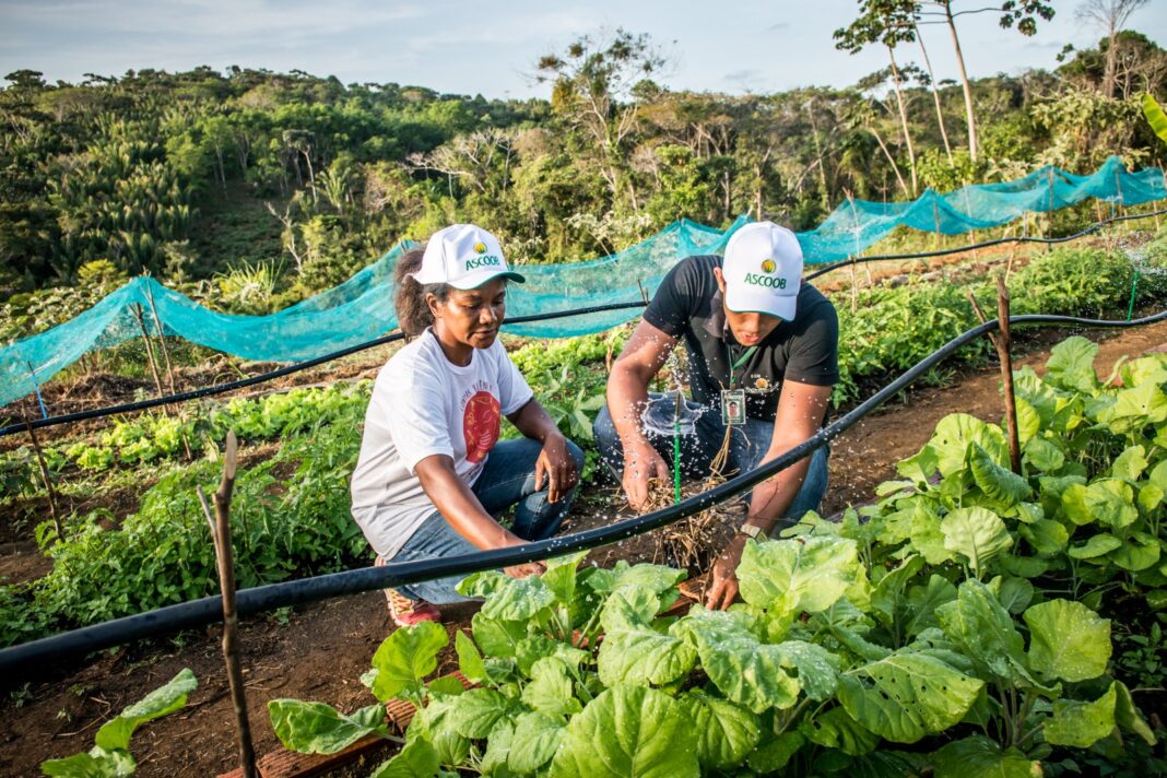 Edital para garantir água para produção e cuidado animal será Logo