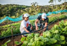 Edital para garantir água para produção e cuidado animal será lançado segunda-feira (25) Logo