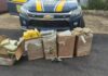 Em Rondônia, ação conjunta da PRF e PCRO apreende mais de 140 kg de drogas e uma pistola — Polícia Rodoviária Federal WhatsApp Image 2024-03-09 at 16.41.23.jpeg