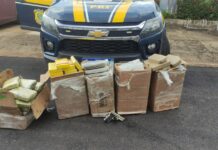 Em Rondônia, ação conjunta da PRF e PCRO apreende mais de 140 kg de drogas e uma pistola — Polícia Rodoviária Federal WhatsApp Image 2024-03-09 at 16.41.23.jpeg