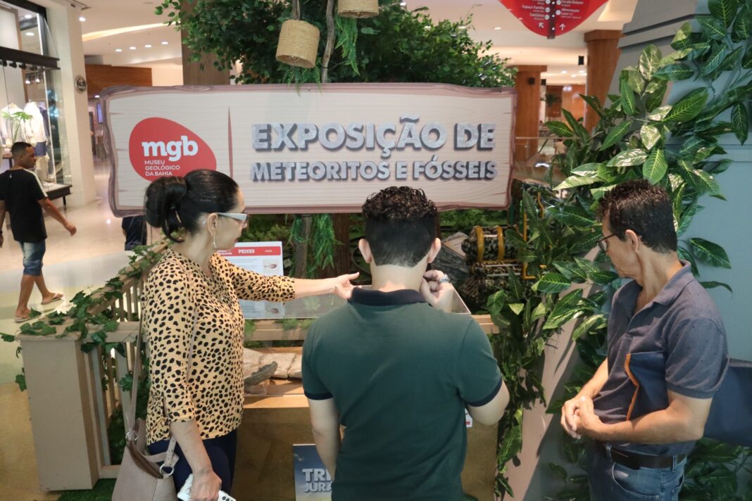 Em duas semanas, exposição do MGB no Salvador Shopping atinge Logo