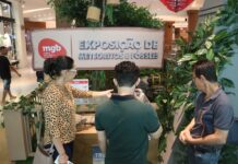 Em duas semanas, exposição do MGB no Salvador Shopping atinge mais de 22 mil visitantes Logo