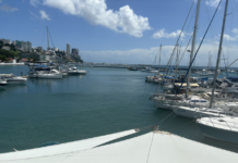 Feira Barco Show Bahia movimenta negócios no turismo náutico Logo