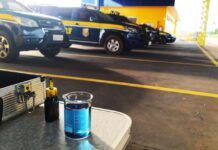 Fiscalização Ambiental :Em uma tarde PRF flagra 04 veículos de carga cometendo crime ambiental — Polícia Rodoviária Federal WhatsApp Image 2024-03-20 at 14.45.32.jpeg