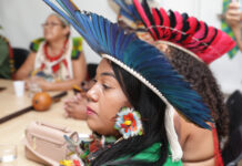 Governo e Povos Indígenas alinham demandas e parcerias na área ambiental Logo