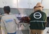 Inema faz doação de alimentos apreendidos durante fiscalização do defeso Logo