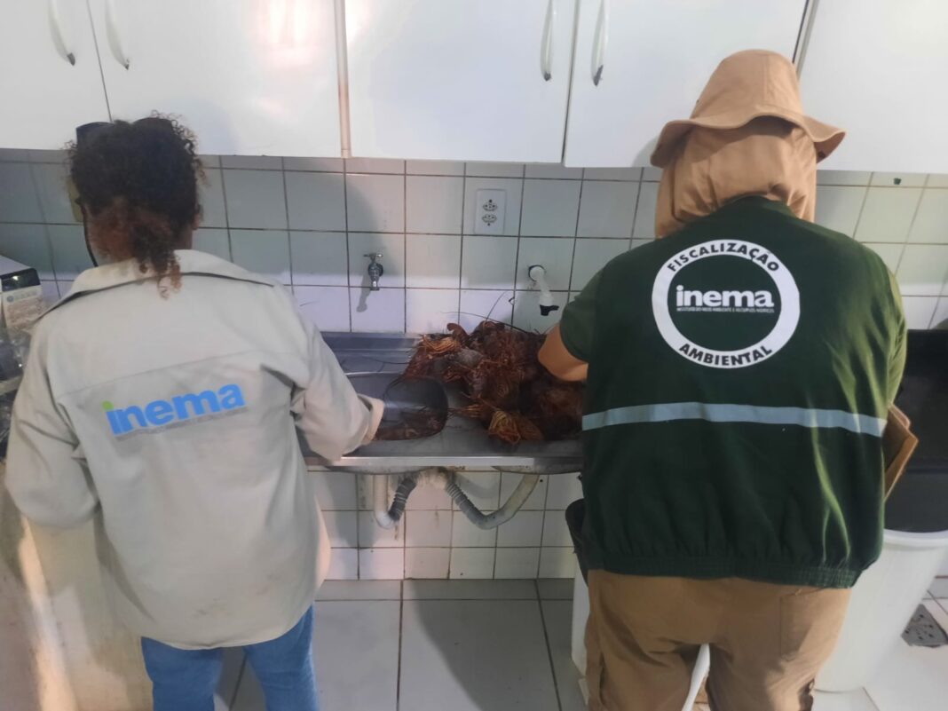 Inema faz doação de alimentos apreendidos durante fiscalização do defeso Logo