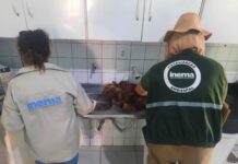 Inema faz doação de alimentos apreendidos durante fiscalização do defeso Logo