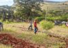 Justiça nega reintegração em fazenda ocupada pelo MST em Minas Gerais Justiça nega reintegração em fazenda ocupada pelo MST em Minas Gerais