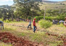 Justiça nega reintegração em fazenda ocupada pelo MST em Minas Gerais Justiça nega reintegração em fazenda ocupada pelo MST em Minas Gerais