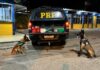 Mulher com criança de colo é flagrada pela PRF transportando submetralhadora e drogas em um ônibus interestadual — Polícia Rodoviária Federal WhatsApp Image 2024-03-15 at 07.48.54 (1).jpeg