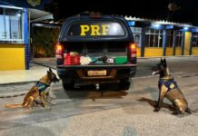 Mulher com criança de colo é flagrada pela PRF transportando submetralhadora e drogas em um ônibus interestadual — Polícia Rodoviária Federal WhatsApp Image 2024-03-15 at 07.48.54 (1).jpeg