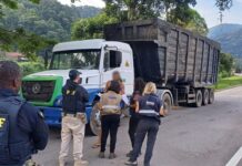 Operação Ordures combate crimes ambientais em Teresópolis — Polícia Rodoviária Federal 01.jpg
