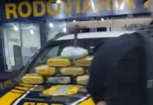 PRF apreende 10 tabletes de Skunk em ônibus em Mato Grosso — Polícia Rodoviária Federal WhatsApp Image 2024-03-19 at 11.47.45.jpeg