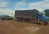PRF apreende 27 m³ de madeira nativa transportados ilegalmente em Guaraí/TO — Polícia Rodoviária Federal WhatsApp Image 2024-02-29 at 13.19.28.jpeg