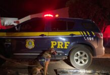 PRF apreende 41 Kg de cocaína com auxílio de cão farejador em Terenos (MS) — Polícia Rodoviária Federal Imagem do WhatsApp de 2024-03-07 à(s) 20.01.41_8866c105.jpg