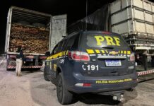 PRF apreende 74 m³ de madeira ilegal, em Castanhal/PA — Polícia Rodoviária Federal WhatsApp Image 2024-03-01 at 15.14.57.jpeg