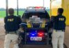 PRF apreende 8 kg de maconha em ônibus, em Trairão/PA — Polícia Rodoviária Federal WhatsApp Image 2024-03-05 at 22.11.22.jpeg