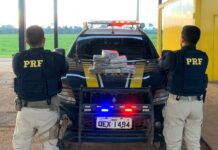 PRF apreende 8 kg de maconha em ônibus, em Trairão/PA — Polícia Rodoviária Federal WhatsApp Image 2024-03-05 at 22.11.22.jpeg
