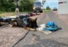 PRF apreende Skunk em ônibus em Eldorado do Sul com a ajuda dos cães farejadores — Polícia Rodoviária Federal cbbc6e6b-2ed0-4898-85fb-8bba1fcc0f1d.jpeg
