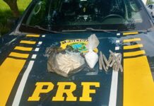 PRF apreende cocaína e maconha em Campos dos Goytacazes/RJ — Polícia Rodoviária Federal WhatsApp Image 2024-03-01 at 15.53.42.jpeg