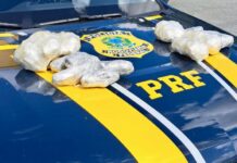 PRF apreende cocaína e maconha em Petrópolis/RJ — Polícia Rodoviária Federal WhatsApp Image 2024-03-06 at 10.30.26.jpeg