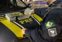 PRF apreende cocaína na Rodovia Presidente Dutra — Polícia Rodoviária Federal WhatsApp Image 2024-03-08 at 00.53.48.jpeg