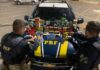 PRF apreende mais de mil munições de arma de fogo na BR 060, no Recanto das Emas/DF — Polícia Rodoviária Federal WhatsApp Image 2024-03-02 at 07.36.29.jpeg