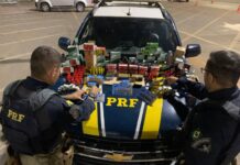 PRF apreende mais de mil munições de arma de fogo na BR 060, no Recanto das Emas/DF — Polícia Rodoviária Federal WhatsApp Image 2024-03-02 at 07.36.29.jpeg
