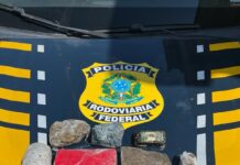 PRF apreende tabletes de maconha dentro de mochila durante abordagem a ônibus em Feira de Santana (BA) — Polícia Rodoviária Federal Sem títulosda.jpg