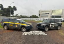 PRF e PCDF apreendem 61,5kg de skunk em Brasília/DF — Polícia Rodoviária Federal WhatsApp Image 2024-03-23 at 16.45.14.jpeg