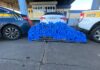 PRF e PMRv recuperam carro roubado e apreendem 300 kg de maconha em Água Doce — Polícia Rodoviária Federal cb406129-3799-4ce9-9820-b780bed7af68.jpg