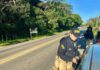 PRF inicia Operação Semana Santa 2024 nesta quinta-feira (28), em Alagoas — Polícia Rodoviária Federal 6eb61bff-30ee-4e2c-9391-5c675f1d9c7d.jpg