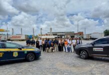 PRF realiza Comandos de Saúde Preventivo — Polícia Rodoviária Federal PRF realiza Comandos de Saúde Preventivo — Polícia Rodoviária Federal