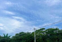 PRF realiza Operação Rosas de Aço no Amazonas — Polícia Rodoviária Federal IMG_7885.jpeg