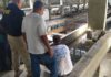 PRF realiza ação de prevenção à dengue no RJ — Polícia Rodoviária Federal 01.jpg