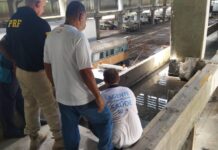 PRF realiza ação de prevenção à dengue no RJ — Polícia Rodoviária Federal 01.jpg