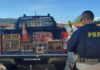 PRF realiza quatorze prisões nos primeiros três dias da Operação Semana Santa 2024 no RN — Polícia Rodoviária Federal WhatsApp Image 2024-03-29 at 11.26.46 AM (1).jpeg