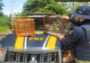 PRF resgata três aves silvestres na BR-010, em Campestre do Maranhão/MA — Polícia Rodoviária Federal 1.png
