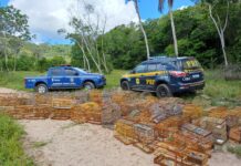 PRF/SE finaliza Operação Rotas da Fauna — Polícia Rodoviária Federal PRF/SE finaliza Operação Rotas da Fauna — Polícia Rodoviária Federal