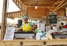 Políticas públicas empoderam mulheres na agricultura familiar da Bahia Logo