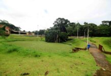 Prefeitura implementa estratégias ambientais com plantio recorde de 110 mil árvores e áreas verdes recuperadas – Secretaria de Comunicação Prefeitura implementa estratégias ambientais com plantio recorde de 110 mil árvores e áreas verdes recuperadas – Secretaria de Comunicação