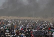 Relatora da ONU diz que Israel comete genocídio na Faixa de Gaza Relatora da ONU diz que Israel comete genocídio na Faixa de Gaza