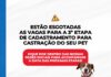 SAJ: Prefeitura informa acerca do preenchimento de vagas para a 3ª etapa de castração de gatos e cães – Prefeitura de Santo Antônio de Jesus – BA SAJ: Prefeitura informa acerca do preenchimento de vagas para a 3ª etapa de castração de gatos e cães – Prefeitura de Santo Antônio de Jesus - BA