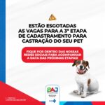 SAJ: Prefeitura informa acerca do preenchimento de vagas para a 3ª etapa de castração de gatos e cães – Prefeitura de Santo Antônio de Jesus - BA