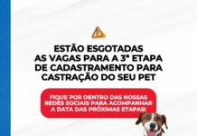 SAJ: Prefeitura informa acerca do preenchimento de vagas para a 3ª etapa de castração de gatos e cães – Prefeitura de Santo Antônio de Jesus – BA SAJ: Prefeitura informa acerca do preenchimento de vagas para a 3ª etapa de castração de gatos e cães – Prefeitura de Santo Antônio de Jesus - BA