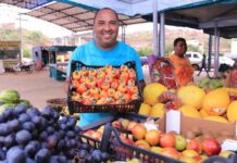 SDR e Seagri realizam seminário sobre fruticultura em Ribeira do Pombal Logo